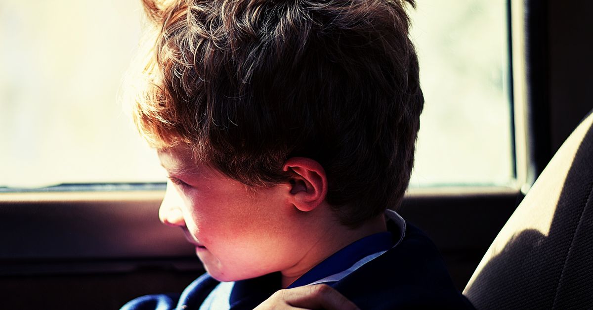 When a Child or Pet Is Locked in a Hot Car, Every Minute Matters — Trusted San Locksmith